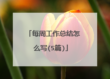 每周工作总结怎么写(5篇)