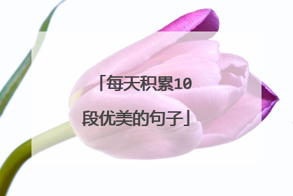 每天积累10段优美的句子