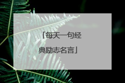 每天一句经典励志名言