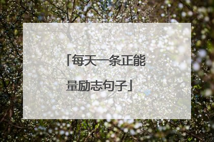 每天一条正能量励志句子