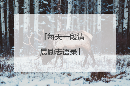 每天一段清晨励志语录