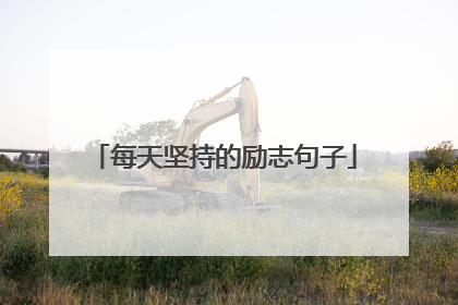 每天坚持的励志句子
