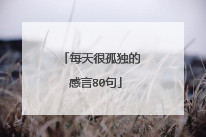 每天很孤独的感言80句