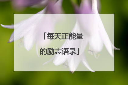 每天正能量的励志语录