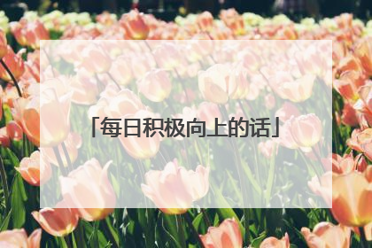 每日积极向上的话