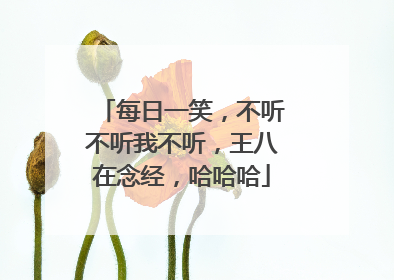 每日一笑,不听不听我不听,王八在念经,哈哈哈