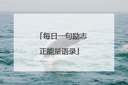 每日一句励志正能量语录