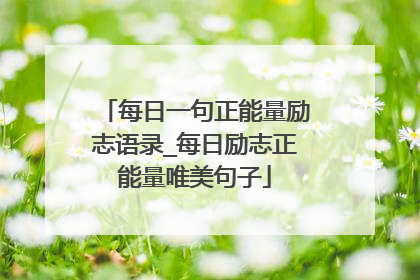 每日一句正能量励志语录_每日励志正能量唯美句子