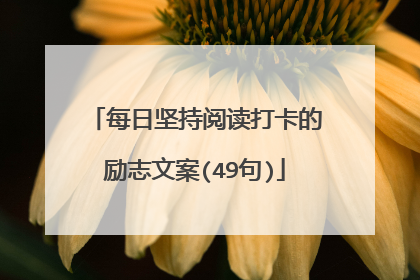 每日坚持阅读打卡的励志文案(49句)