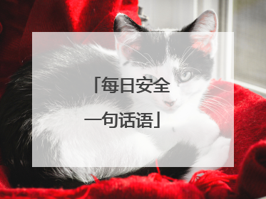 每日安全一句话语
