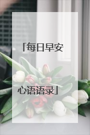 每日早安心语语录