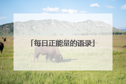 每日正能量的语录