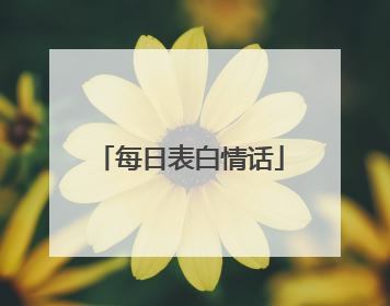 每日表白情话