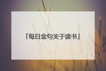 每日金句关于读书