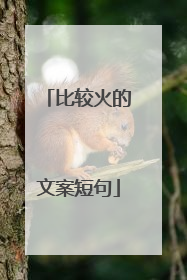 比较火的文案短句