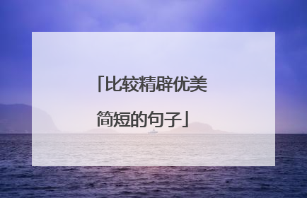 比较精辟优美简短的句子