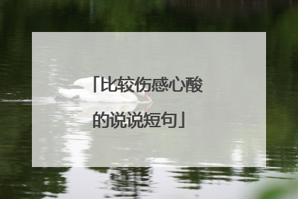 比较伤感心酸的说说短句