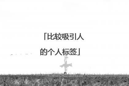 比较吸引人的个人标签