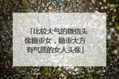 比较大气的微信头像稳重女,稳重大方有气质的女人头像