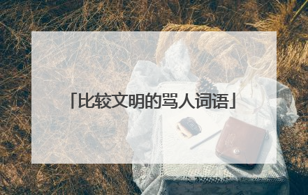 比较文明的骂人词语