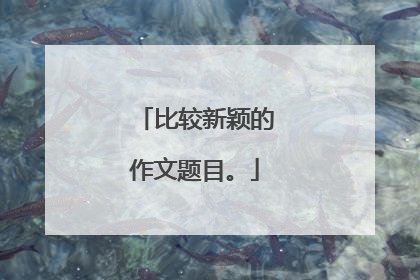 比较新颖的作文题目。