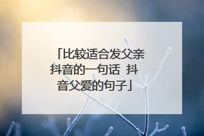 比较适合发父亲抖音的一句话 抖音父爱的句子