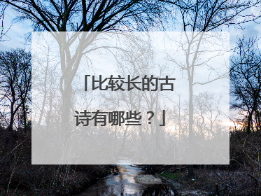 比较长的古诗有哪些?