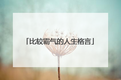 比较霸气的人生格言