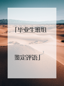 毕业生班组鉴定评语