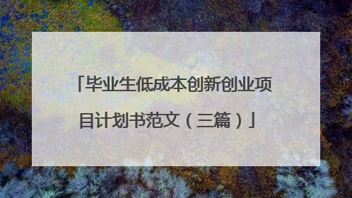 毕业生低成本创新创业项目计划书范文(三篇)