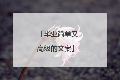 毕业简单又高级的文案