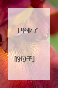 毕业了的句子