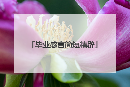 毕业感言简短精辟