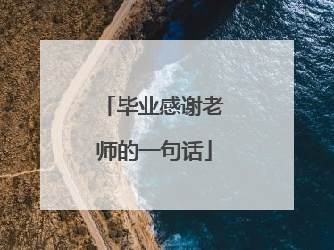 毕业感谢老师的一句话