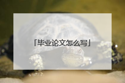 毕业论文怎么写