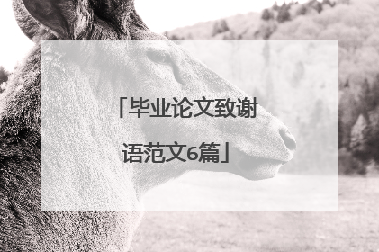 毕业论文致谢语范文6篇