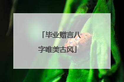 毕业赠言八字唯美古风