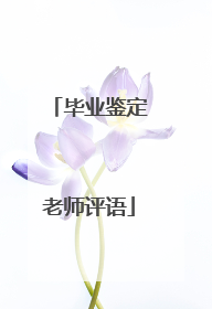 毕业鉴定老师评语