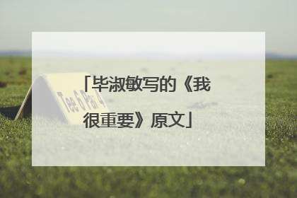 毕淑敏写的《我很重要》原文