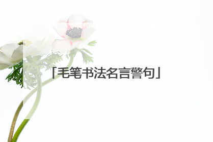 毛笔书法名言警句