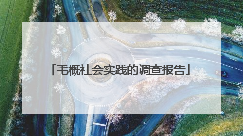 毛概社会实践的调查报告