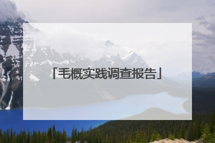 毛概实践调查报告