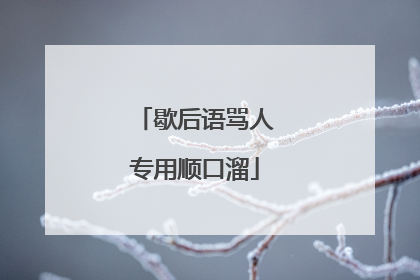 歇后语骂人专用顺口溜