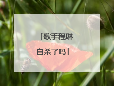 歌手程琳自杀了吗