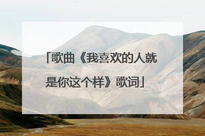 歌曲《我喜欢的人就是你这个样》歌词