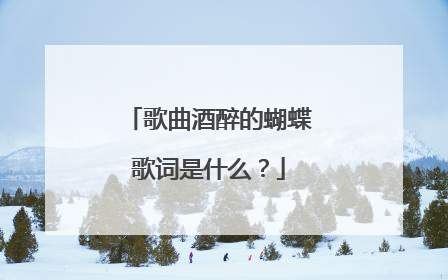 歌曲酒醉的蝴蝶歌词是什么？