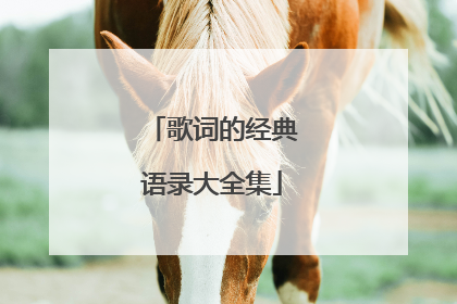 歌词的经典语录大全集