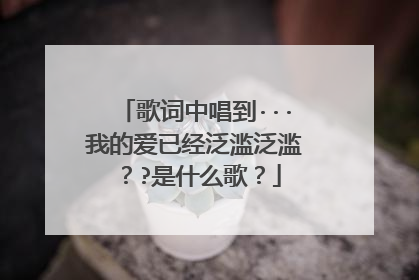 歌词中唱到···我的爱已经泛滥泛滥??是什么歌?
