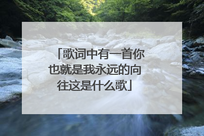 歌词中有一首你也就是我永远的向往这是什么歌