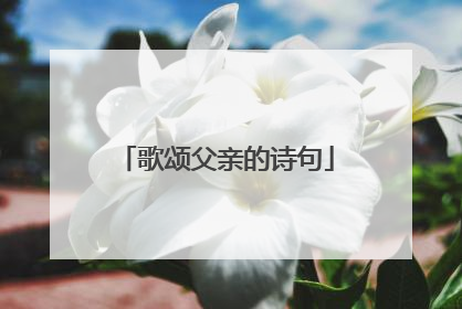 歌颂父亲的诗句